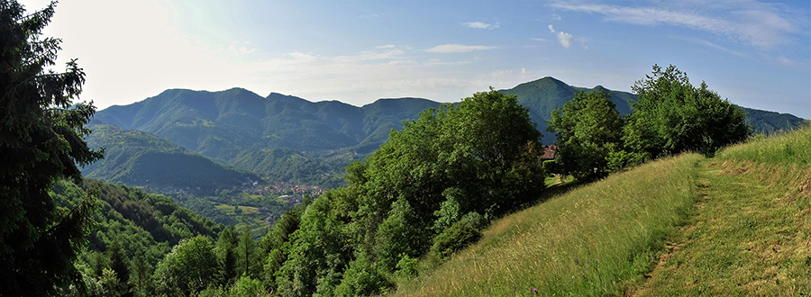 Tratto iniziale sentiero da Pernice per linea tagliafuoco